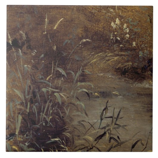 ジョン・巡査 |プールによるラッシュ、c.1821 (油: タイル (正面)