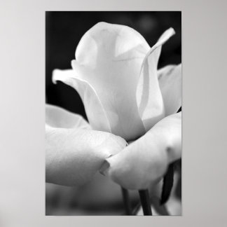 ジョン・F・ケネディバラ ポスター