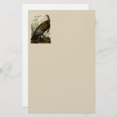 ジョンAudubon著野生のトルコ 便箋 (正面/裏面)