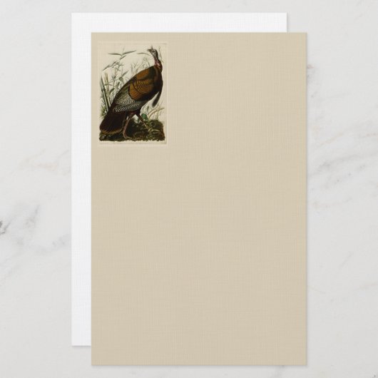 ジョンAudubon著野生のトルコ 便箋 (正面/裏面)