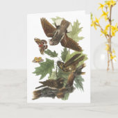 、ジョンAudubon鞭貧し カード (黄色い花)