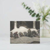 ジョンBauer -クリスマスの夜の… シーズンポストカード (スタンド正面)