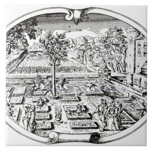 ジョンGerard著「Herball」からのFrontispiece、( タイル (正面)