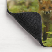 ジョンTammaro著写真 マウスパッド (コーナー)