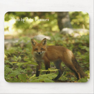 ジョンTammaro著写真 マウスパッド