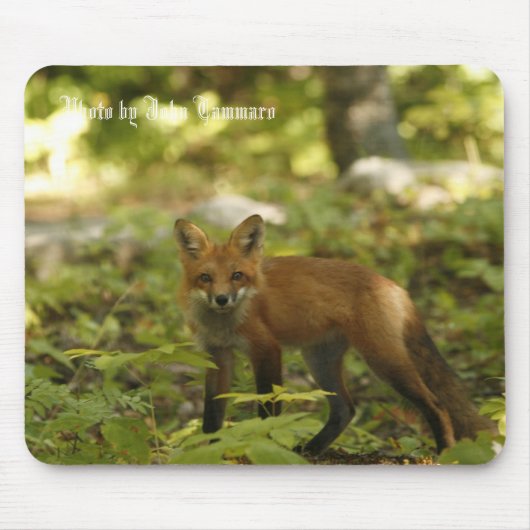 ジョンTammaro著写真 マウスパッド (正面)