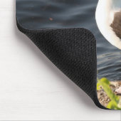 ジョンTammaro著写真 マウスパッド (コーナー)