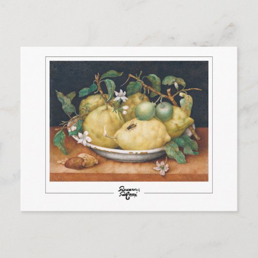 ジョヴァンナガルゾニ#4 -ファインアートはがき ポストカード (正面)