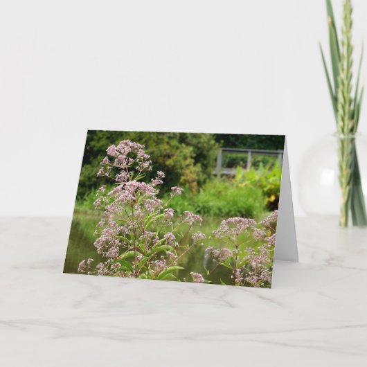 ジョーによってPyeはメッセージカードが開花します カード (正面)