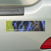 ジョーの目 バンパーステッカー (車上)