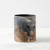 ジョーイの朝のルーチン:最初に汚れ、2番目にコーヒー マグカップ (中央)