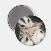 ジョーイ付き砂糖滑空機ファミリー マグネット (正面/裏面)