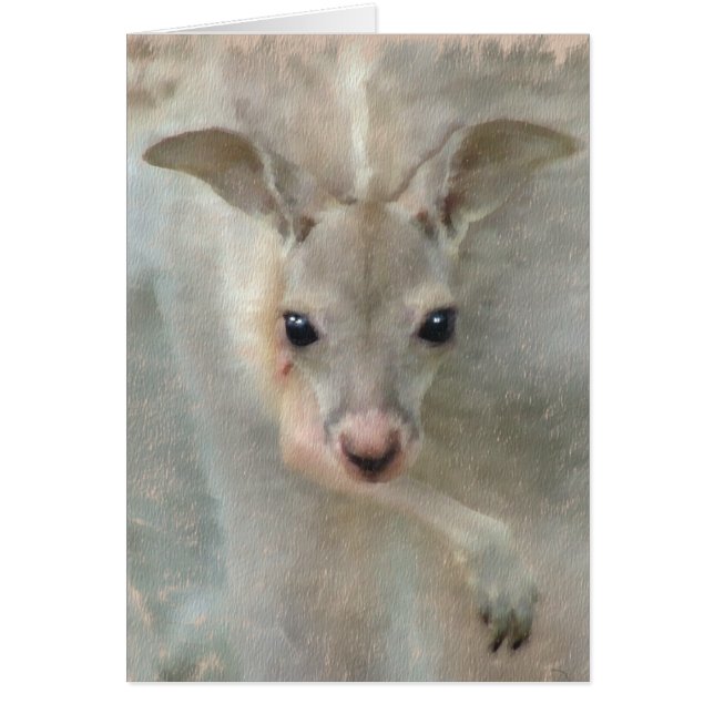 ジョーイ – パステルズ (正面)