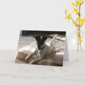 "ジョーイ"滑らかなキツネテリア犬の写真グリーティングカード カード (黄色い花)