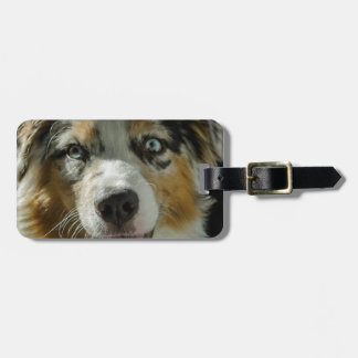 ジョーカーの男の子 ラゲッジタグ