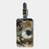 ジョーカーの男の子 ラゲッジタグ (正面縦)