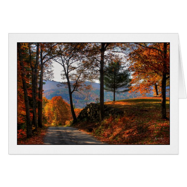 ジョージの道に沿う壁 (正面横)