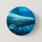 ジョージアのアクアリウムのかわいくよくはしゃぐなシロイルカのクジラ 缶バッジ (正面)
