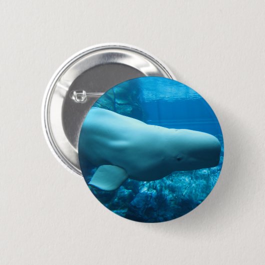 ジョージアのアクアリウムのかわいくよくはしゃぐなシロイルカのクジラ 缶バッジ (正面&裏面)