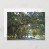 ジョージアのコケ ポストカード (正面/裏面)