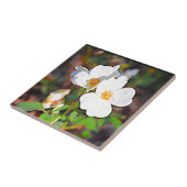 ジョージアのチェロキーバラ タイル (側面)