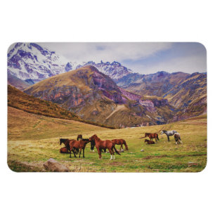 ジョージアの山の馬の風景 マグネット