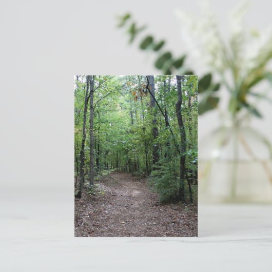 ジョージアの道 ポストカード (スタンド正面)