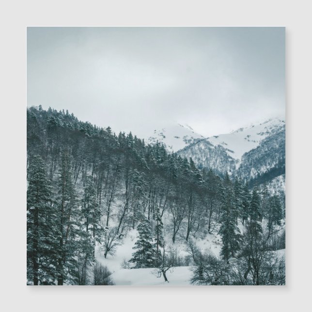 ジョージアの雪山 (正面)