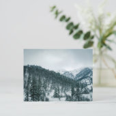 ジョージアの雪山 ポストカード (スタンド正面)