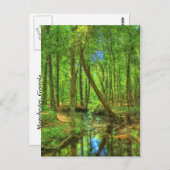 ジョージアの風景 ポストカード (正面/裏面)