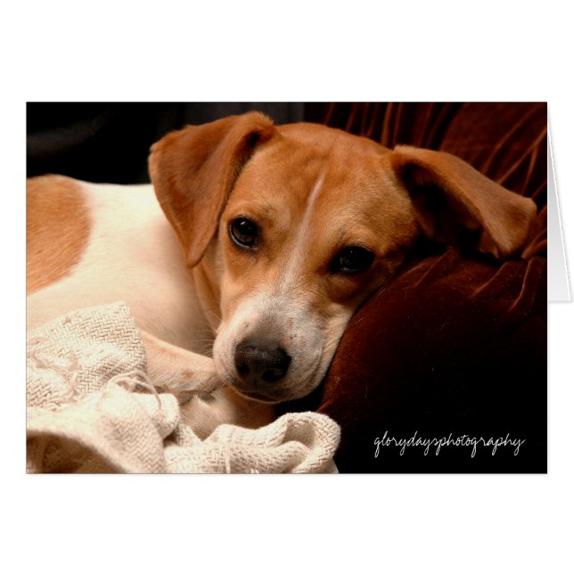 ジョージアのglorydaysphotography (正面横)