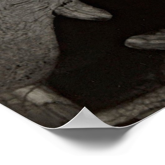 ジョージアオキーフェハンズ&ホーススカル – アトモダンール ポスター (角)