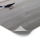 ジョージアライトハウス ポスター (角)