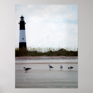 ジョージアライトハウス ポスター