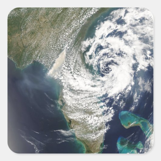 ジョージア州とフロリダ州での火災と煙 スクエアシール (正面)