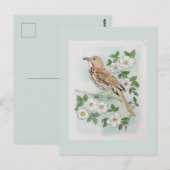 ジョージア州の州の鳥と花 ポストカード (正面/裏面)