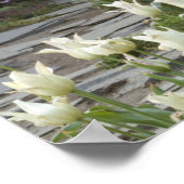 ジョージア州の庭園の小道沿いに咲く春の花 ポスター (角)