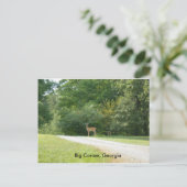 ジョージア州ビッグカヌーのはがき ポストカード (スタンド正面)