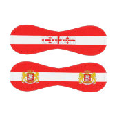 ジョージア州旗とコート・オブ・アームズ 野球ボール (パネル)