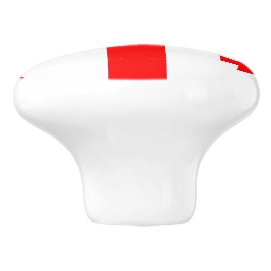 ジョージア州旗とセラミックノブの引っ張り セラミックノブ (側面)