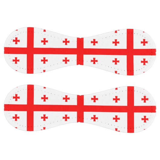 ジョージア州旗を持つ愛国的ソフトボール ソフトボール (パネル)