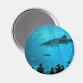 ジョージア水族館でクジラの雄サメ マグネット (正面/裏面)