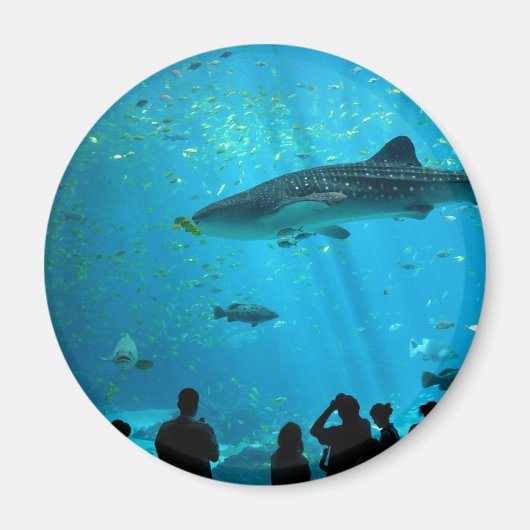 ジョージア水族館でクジラの雄サメ マグネット (正面)