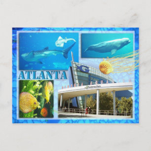 ジョージア水族館、アトランタ、ジョージア ポストカード