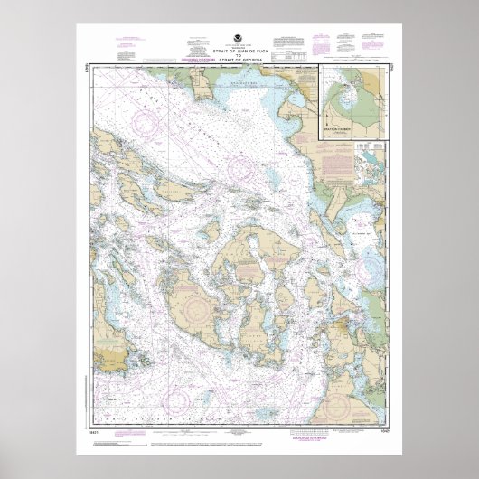ジョージア海峡へフアン・デ・フカ海峡の海図 ポスター (正面)