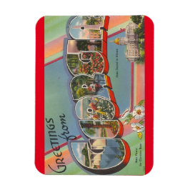 ジョージア磁石 マグネット