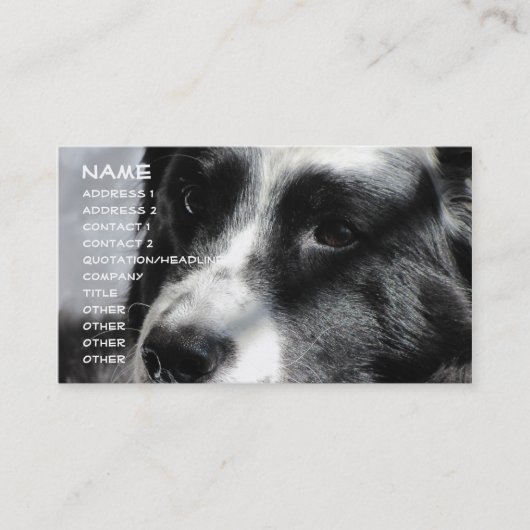 ジョージア4月5日2009 012の名前、住所1、住所… 名刺 (正面)