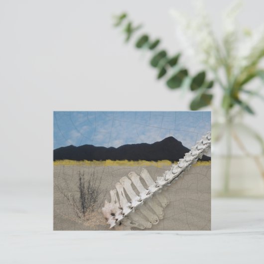 ジョージア・オキーフのような砂漠のアイコニックな作品。 ポストカード (スタンド正面)