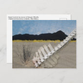 ジョージア・オキーフのような砂漠のアイコニックな作品。 ポストカード (正面/裏面)