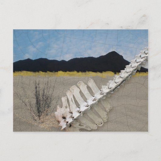 ジョージア・オキーフのような砂漠のアイコニックな作品。 ポストカード (正面)